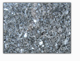 labrador_blue_pearl