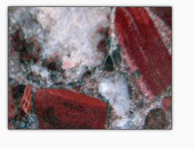 red marinace